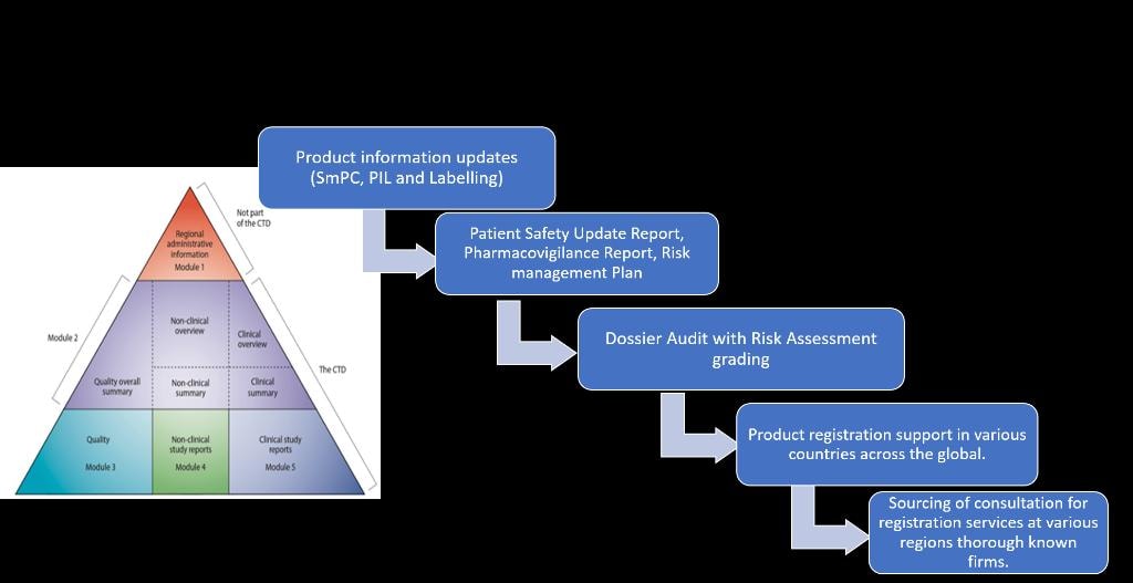 Regulatory workflow diagram showing CTD modules 1–5 alongside five key process steps: Product information updates (SmPC, PIL and Labelling), Patient Safety Update Report and Pharmacovigilance Report and Risk Management Plan, Dossier Audit with Risk Assessment grading, Product registration support in various countries across the globe, and Sourcing of consultation for registration services at various regions through known firms.
